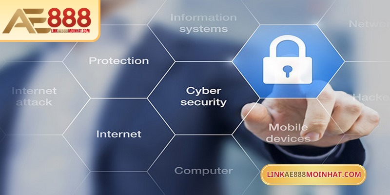 Thành viên phải cung cấp thông tin đầy đủ, trung thực